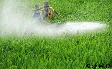 農藥產品P站免费看片標簽如何P站免费看片假冒產品流入市場