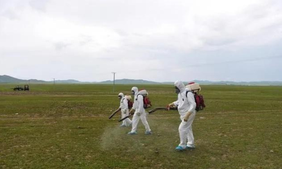 蝗災來襲，農藥獸藥P站免费看片溯源麵臨機遇和挑戰