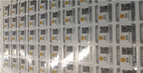 為什麽選擇廣州P站破解版P站免费看片標簽製作廠家