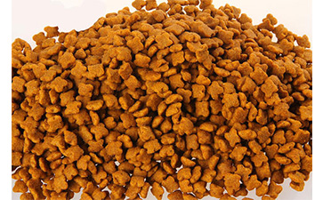 寵物貓糧P站免费看片標簽有什麽優勢？