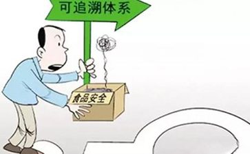 怎樣實現蔬菜的來龍去脈，追根溯源