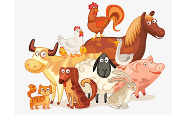 家禽追溯係統的解決方案