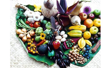 農產品二維碼P站免费看片標簽具有哪些優勢特點？如何定製？