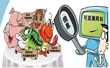 P站免费看片標簽在P站免费看片溯源中有著怎樣的作用？