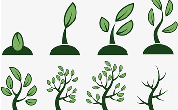 種子P站视频下载如何實現？